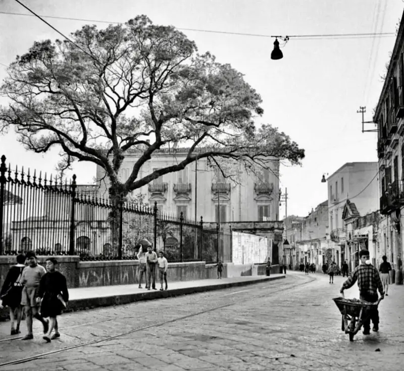 Niño con carretilla