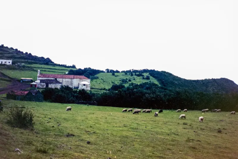 San Antonio del Monte.