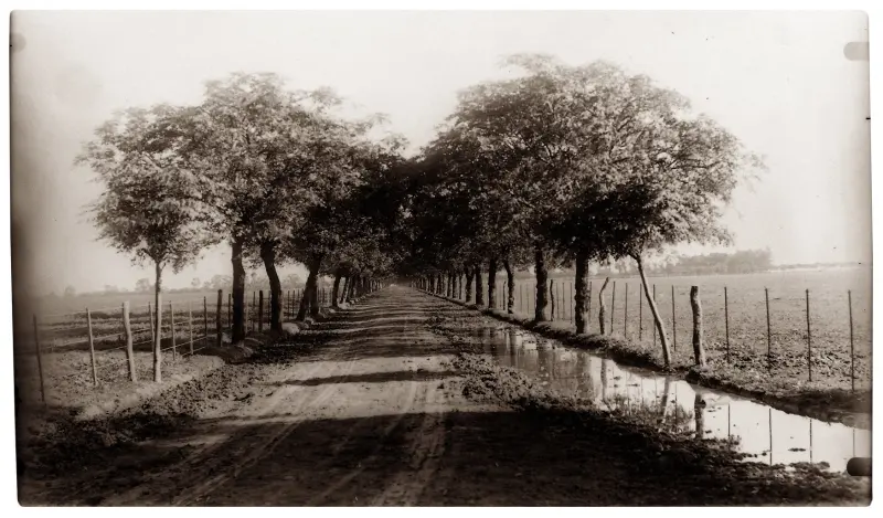 La calle de los paraísos
