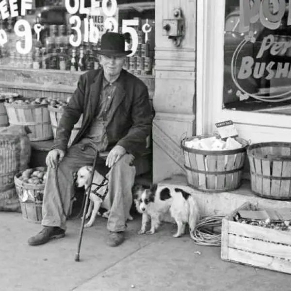 Man And Dogs 