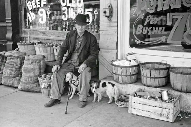 Man And Dogs 