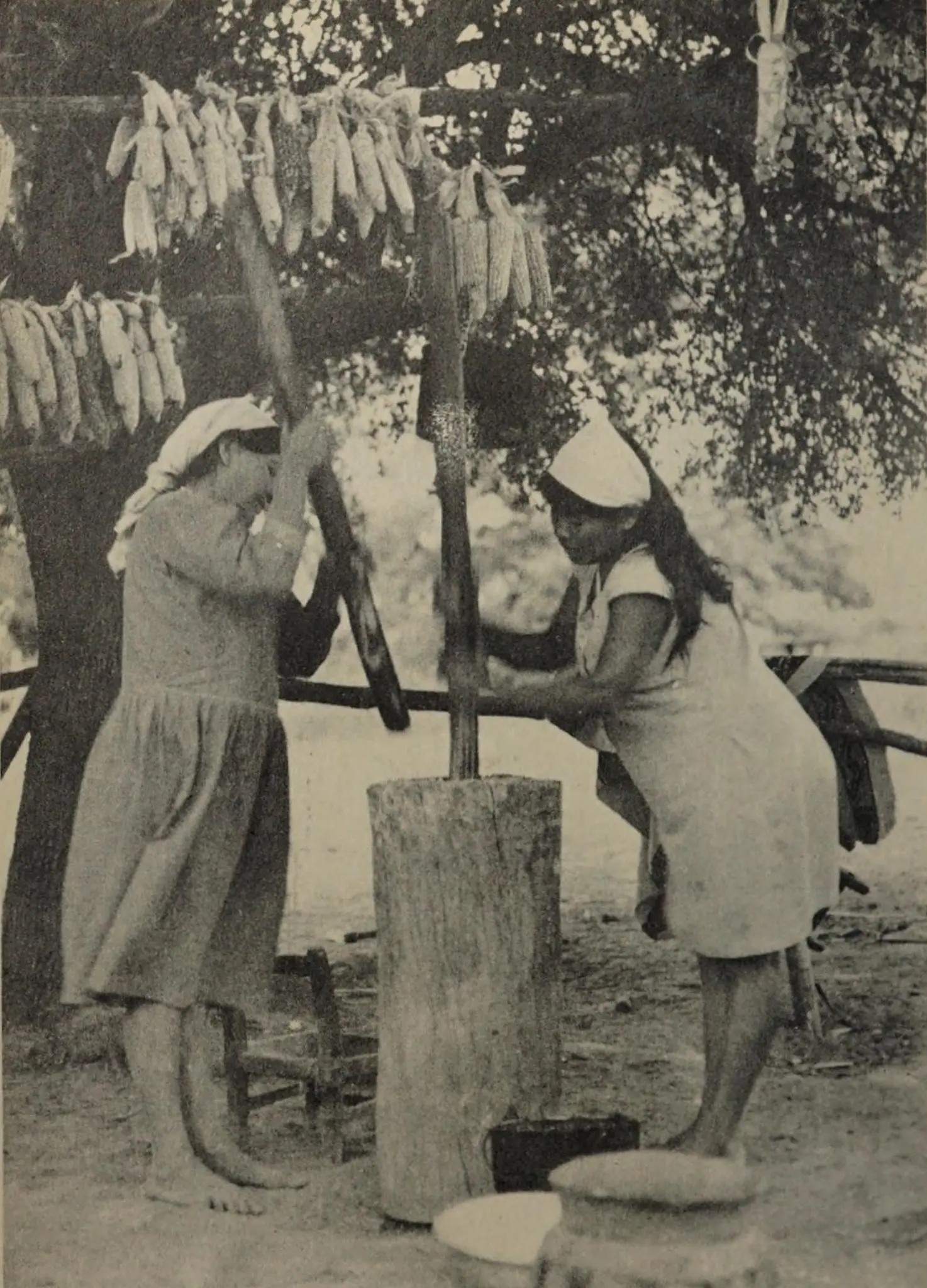 Pisado de maíz en tacú