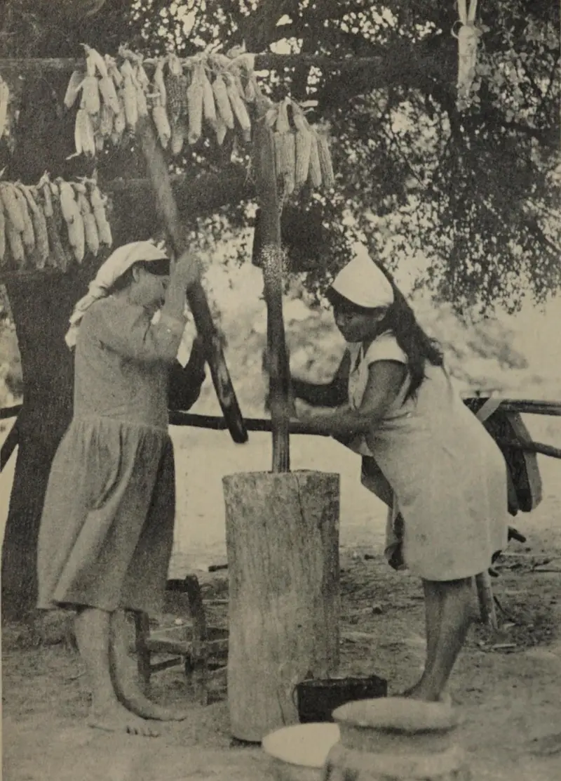 Pisado de maíz en tacú