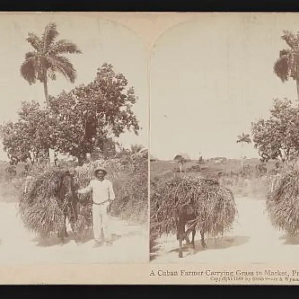 A Cuban farmer