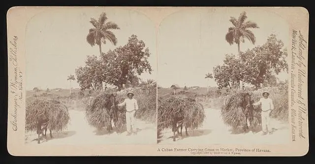 A Cuban farmer