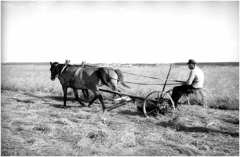 Horse-powered tractor 
