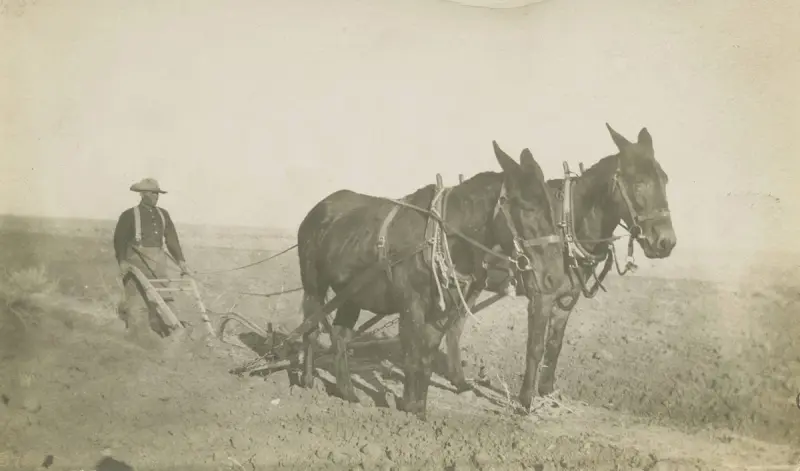 Farmer Plowing South Plains 