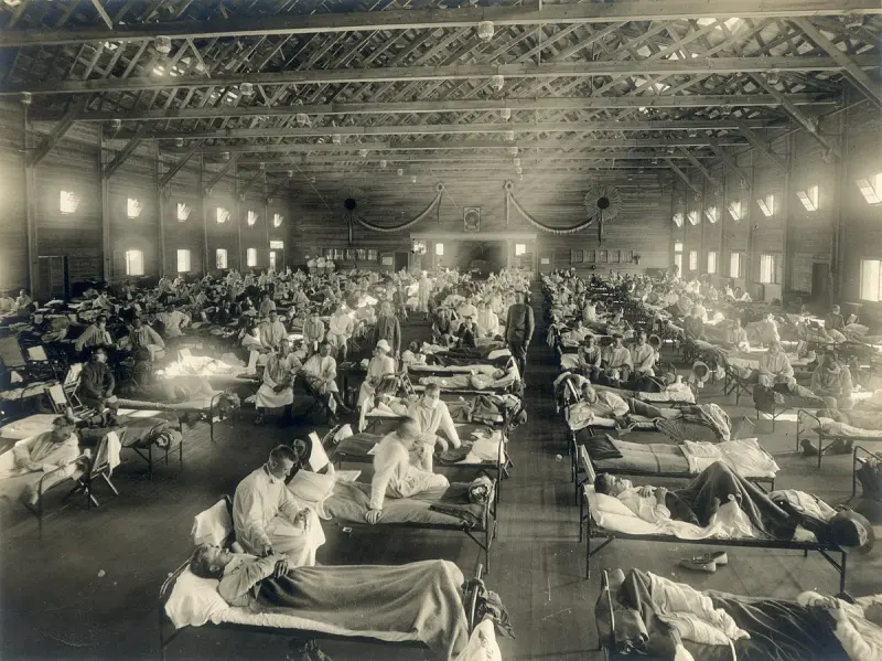 The Spanish Flu Pandemic