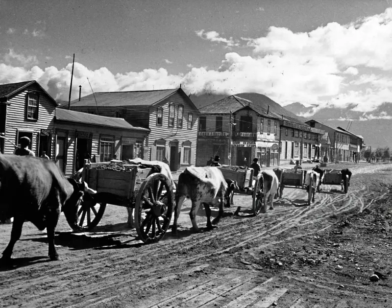 CARRETAS TIRADAS POR BUEYES