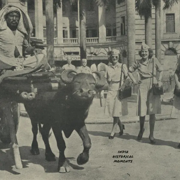 American Red Cross girls 