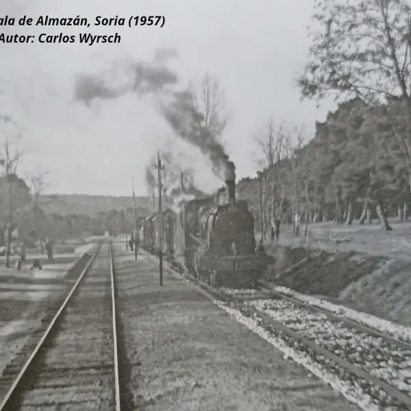 Tren de mercancías