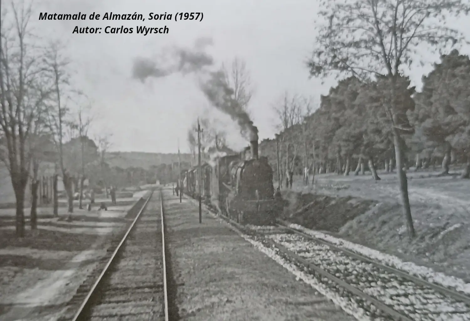 Tren de mercancías