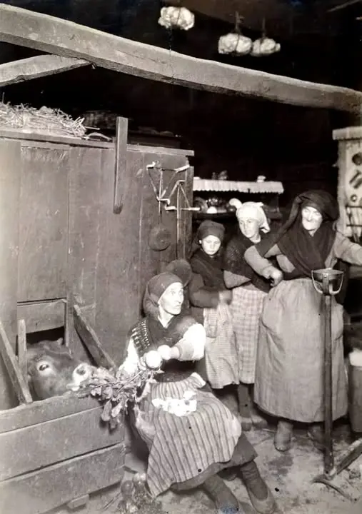 Una mujer alimenta un ternero.