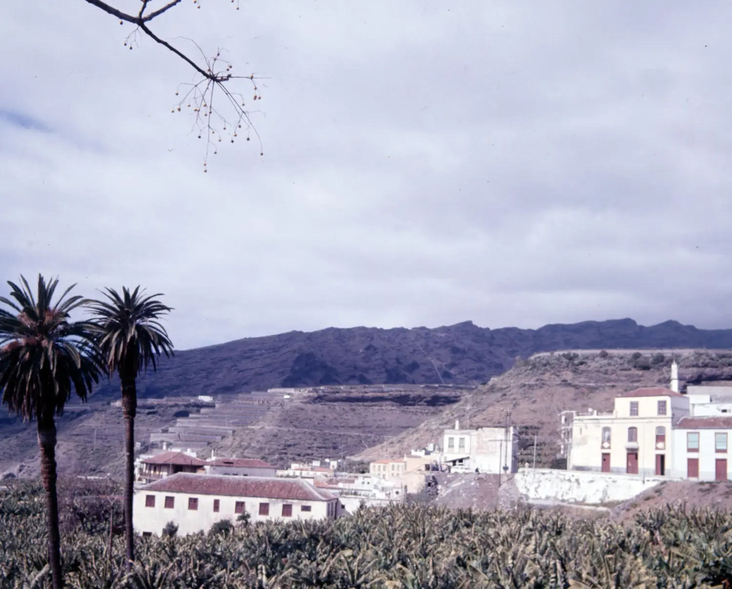 Villa de Tazacorte.
