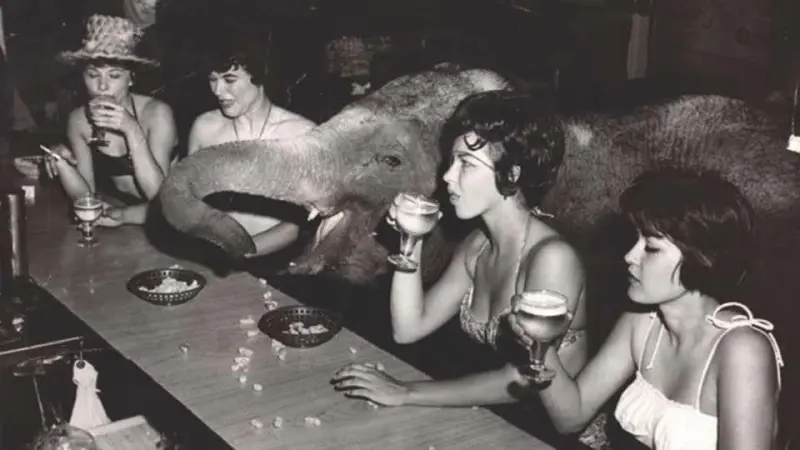 Girls Enjoy Drinks and a Circus Elephant Enjoys Peanuts at Chez Jay's Opening