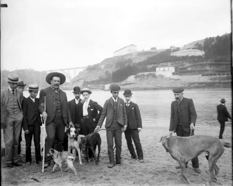 A passear os cães no Areinho de Oliveira do Douro