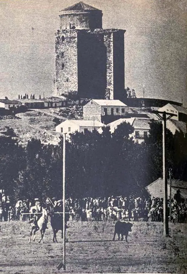 Concurso de acoso y derribo en la Dehesa Boyal.