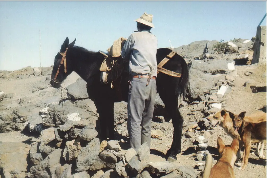 Llegada de los suministros con mula. 