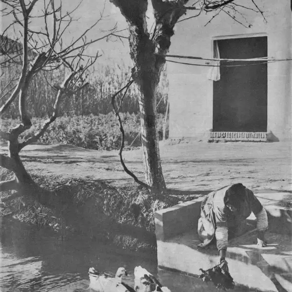 Camí de Pinedo.