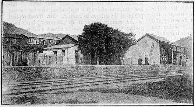 Estación Las Cardas – El pulso del ferrocarril en el norte chico
