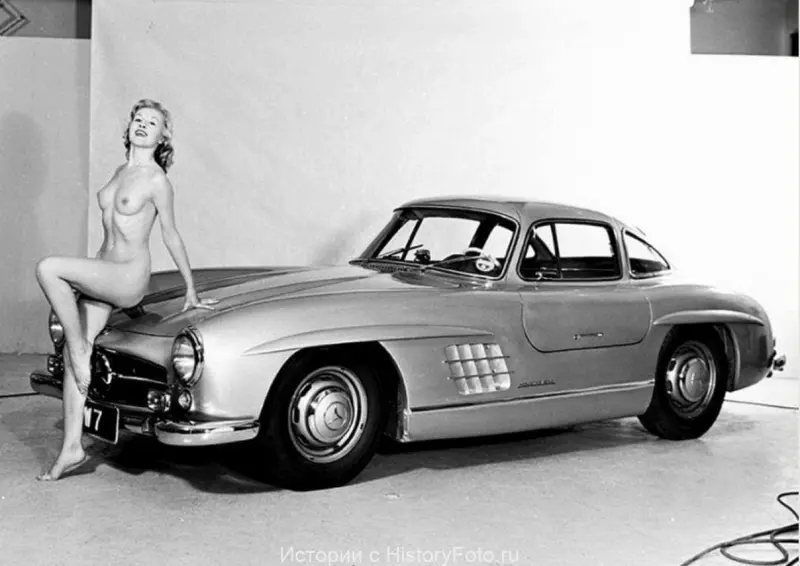 Mercedes 300 SL Wing Door