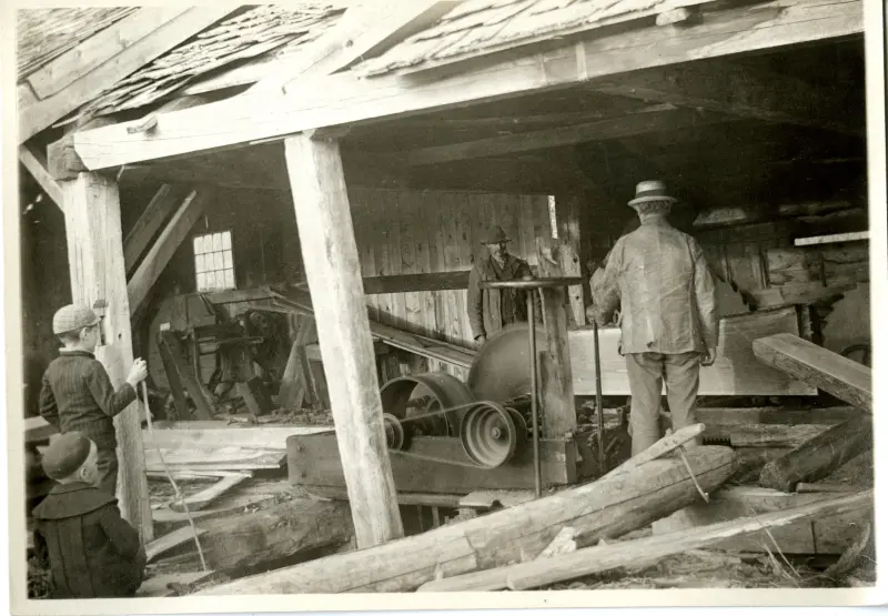 The old sawmill