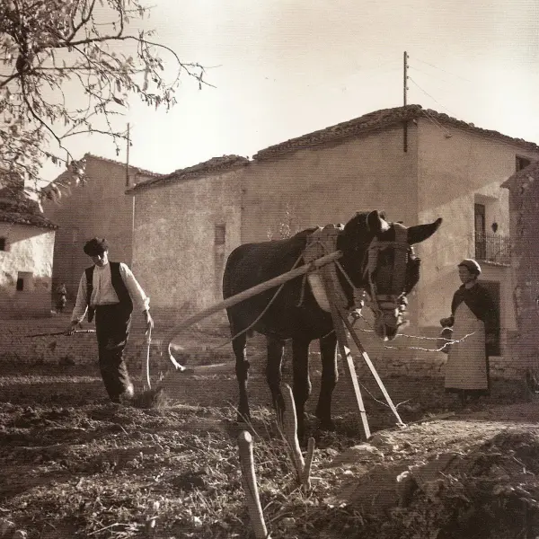 Labrando la tierra