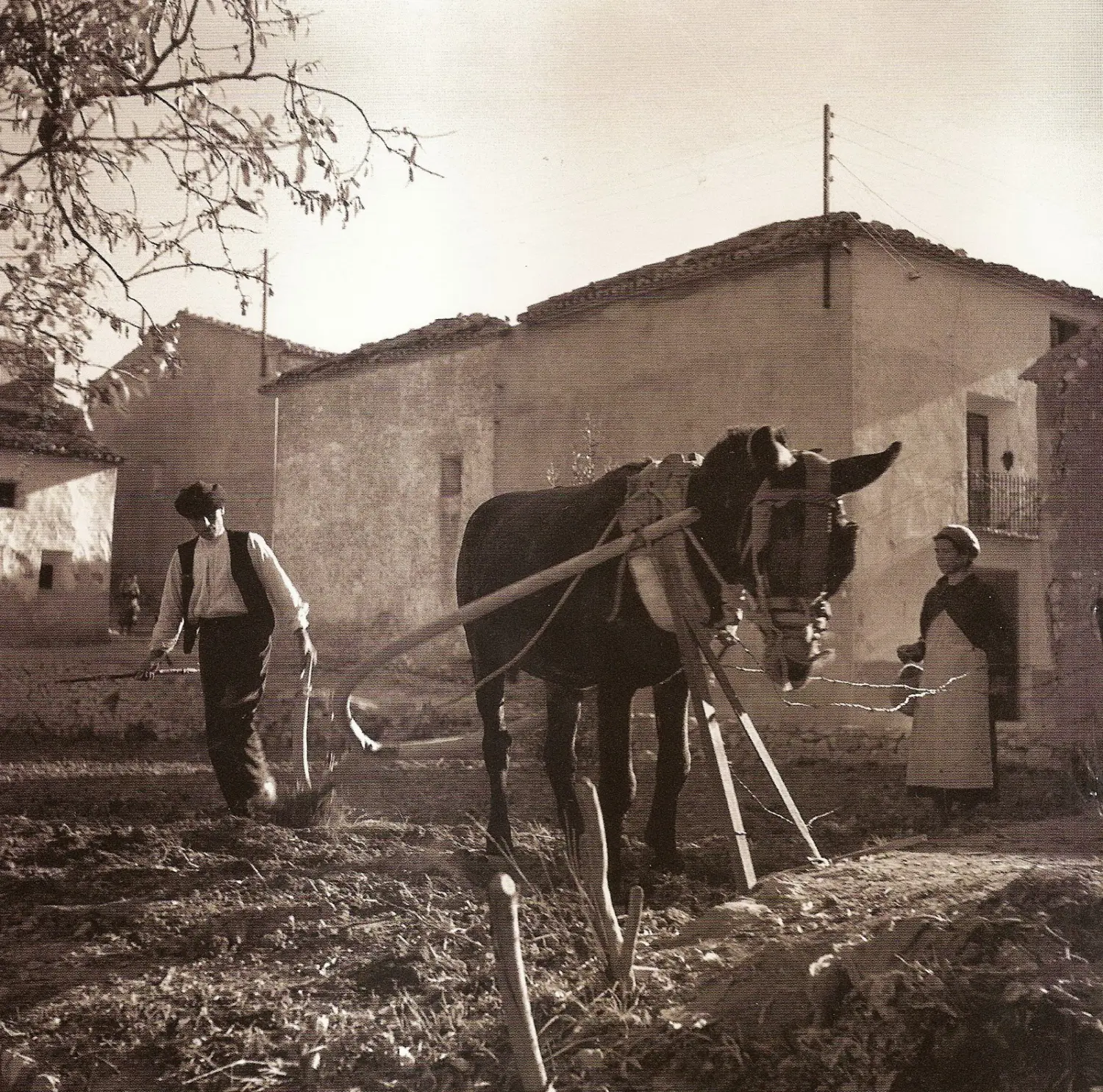 Labrando la tierra