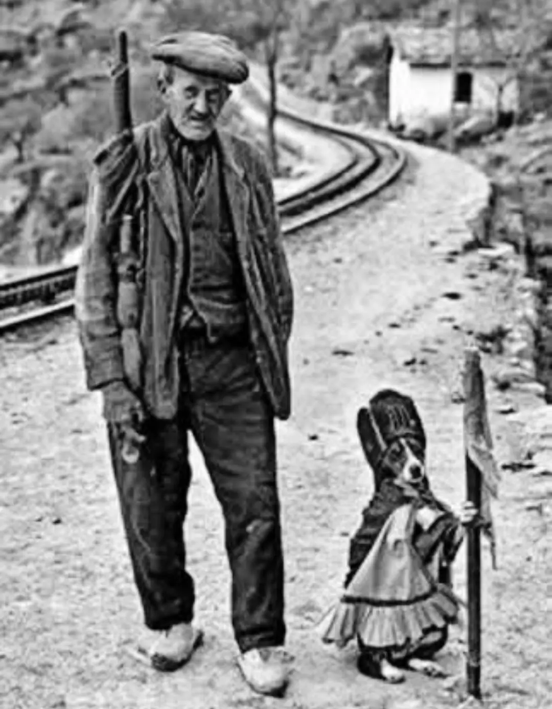 Guarda y su perro disfrazado