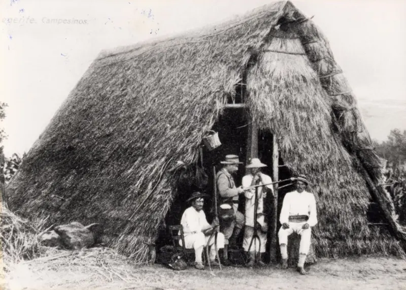 Construcción vegetal