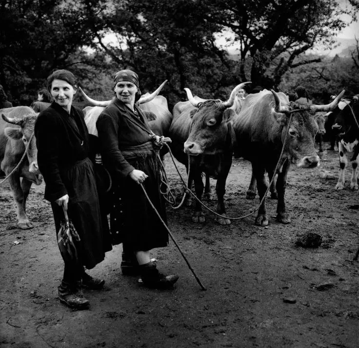 Las antiguas ferias de ganado.