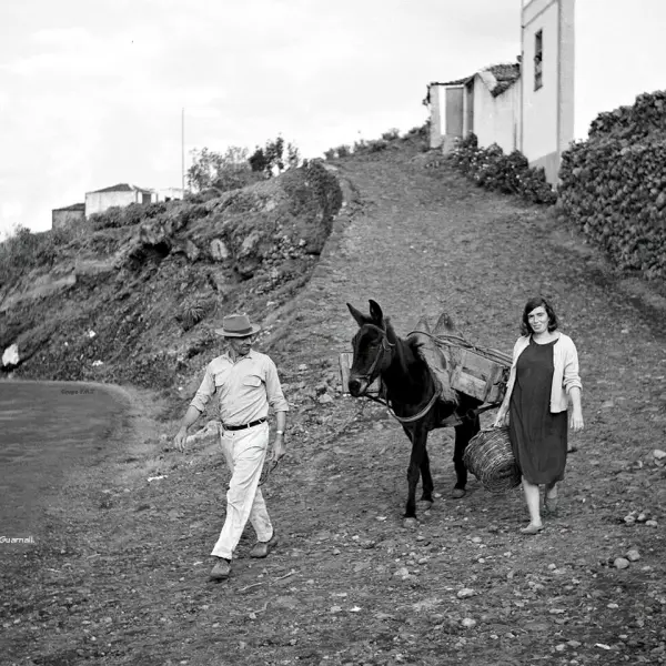 De vuelta del trabajo