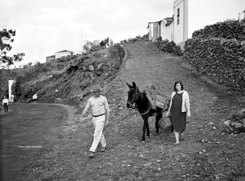 De vuelta del trabajo