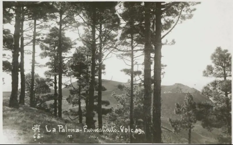 Volcán de San Antonio