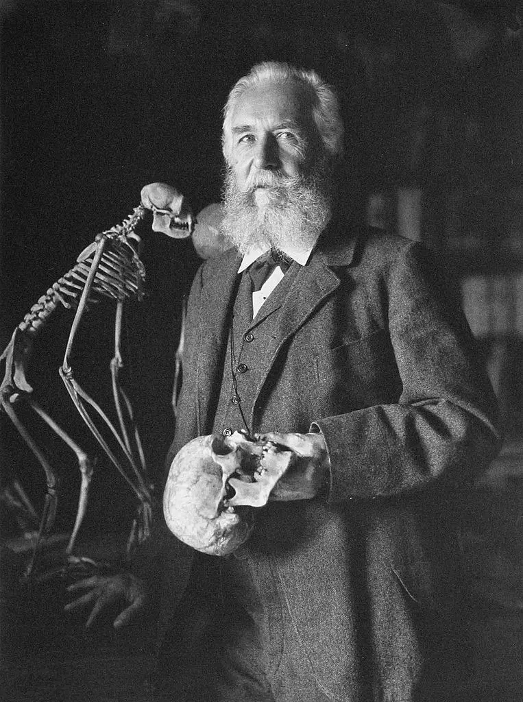 Portrait of Ernst Haeckel
