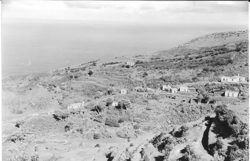 Dragos de La Palmita - Barlovento