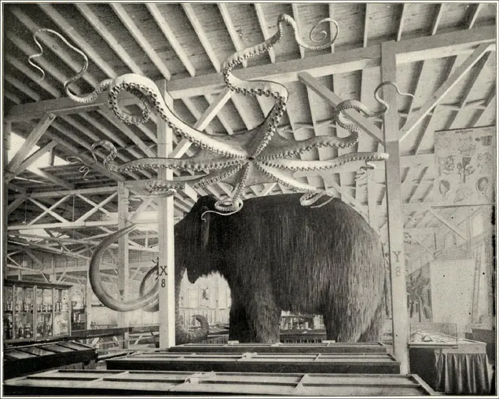 Mammoth and Giant Octopus, display at the Columbian World's Fair