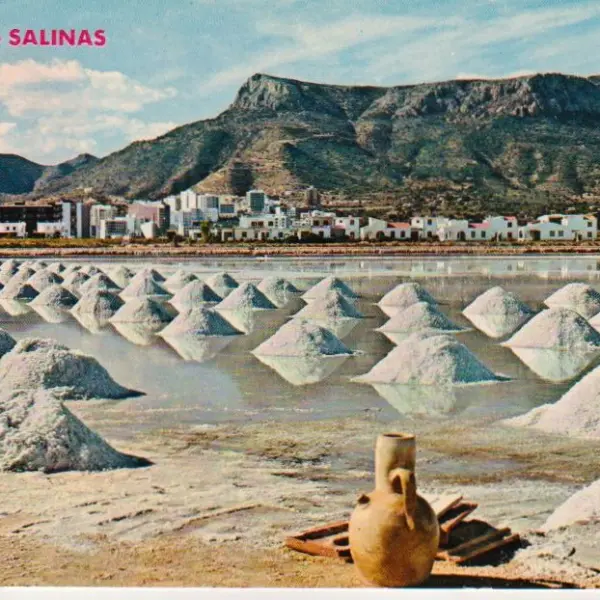 Salinas