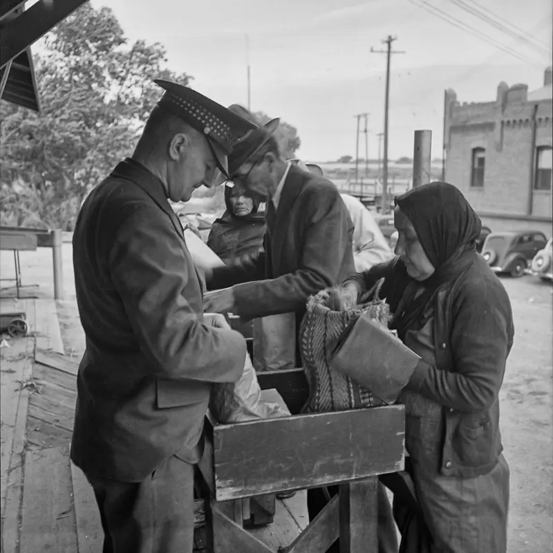 Plant Quarantine Inspection 