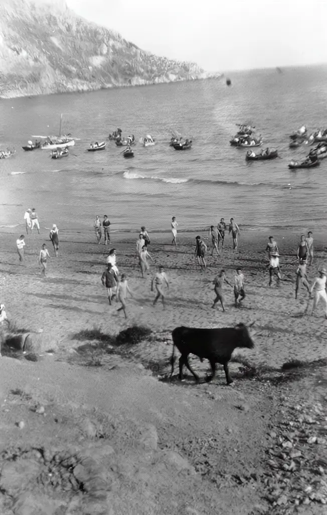 Toros en la playa del Cantal Roig