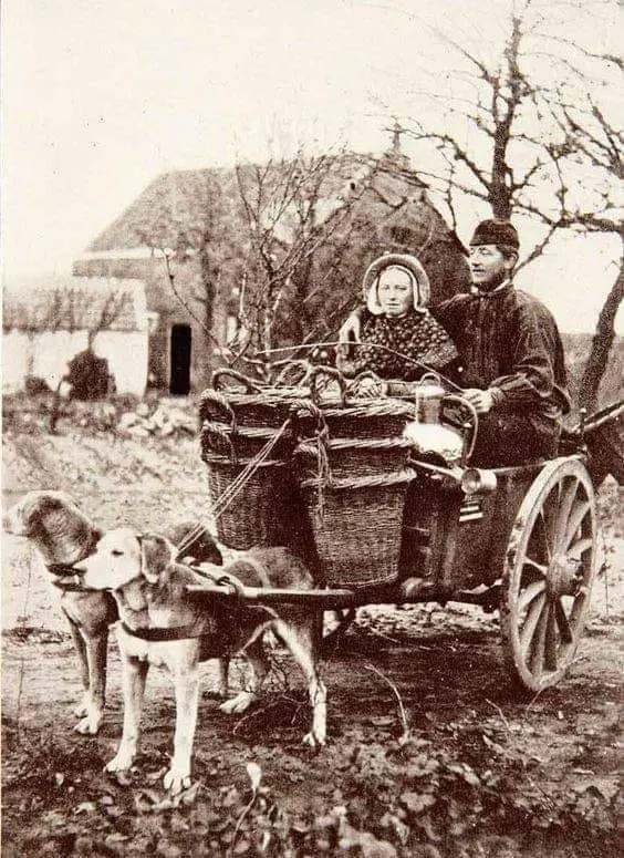 Heading for the market