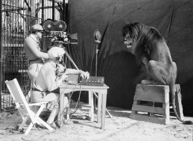 Recording a lion's roar for the MGM screensaver