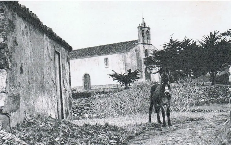 Burrito en Barlovento