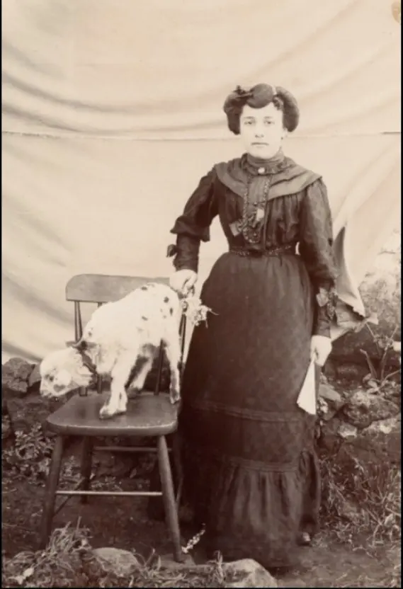 "Retrato de Señora con Baifo" 