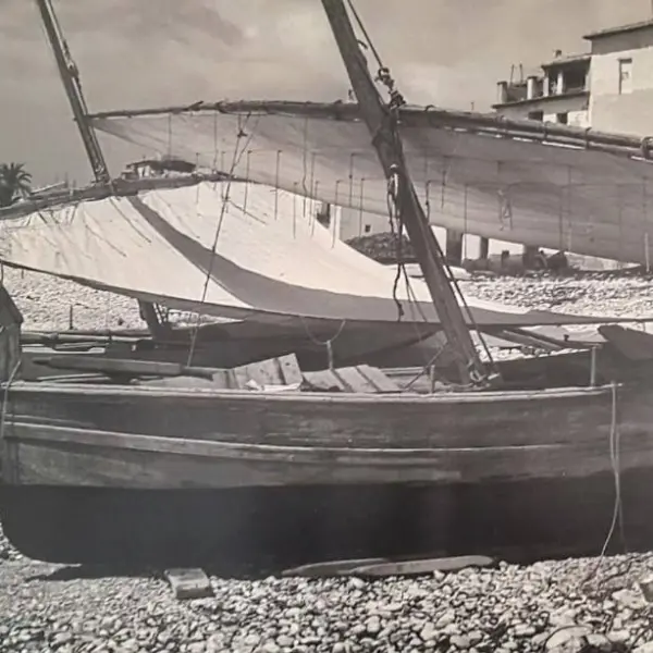 Barcas