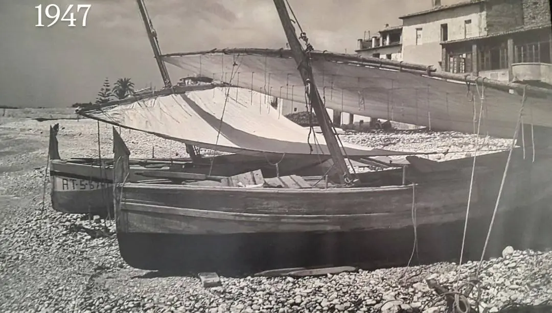 Barcas