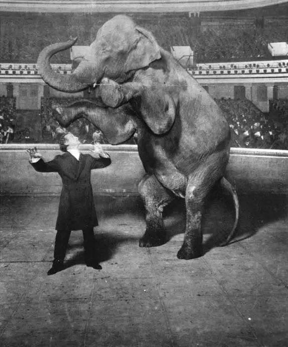 Houdini and Jennie, the Vanishing Elephant