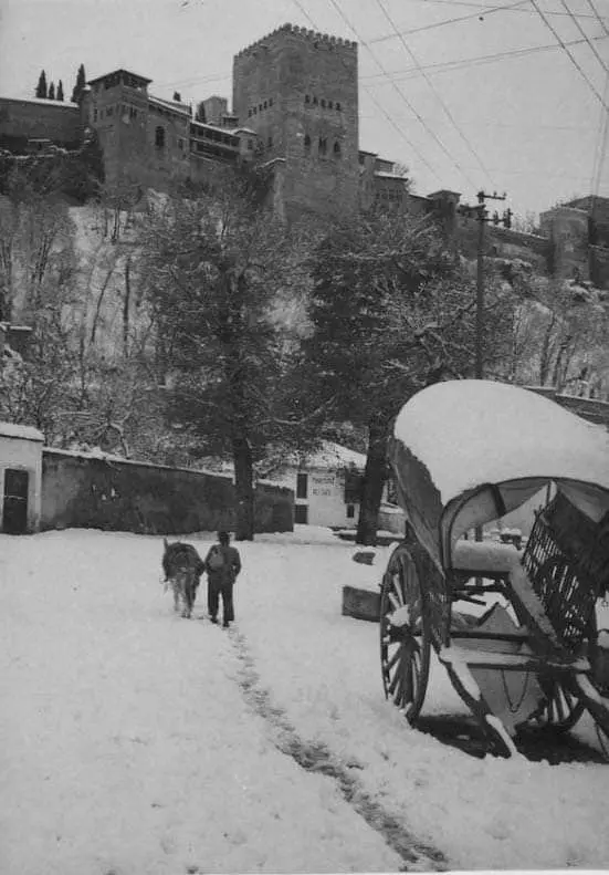 Gran nevada en Granada