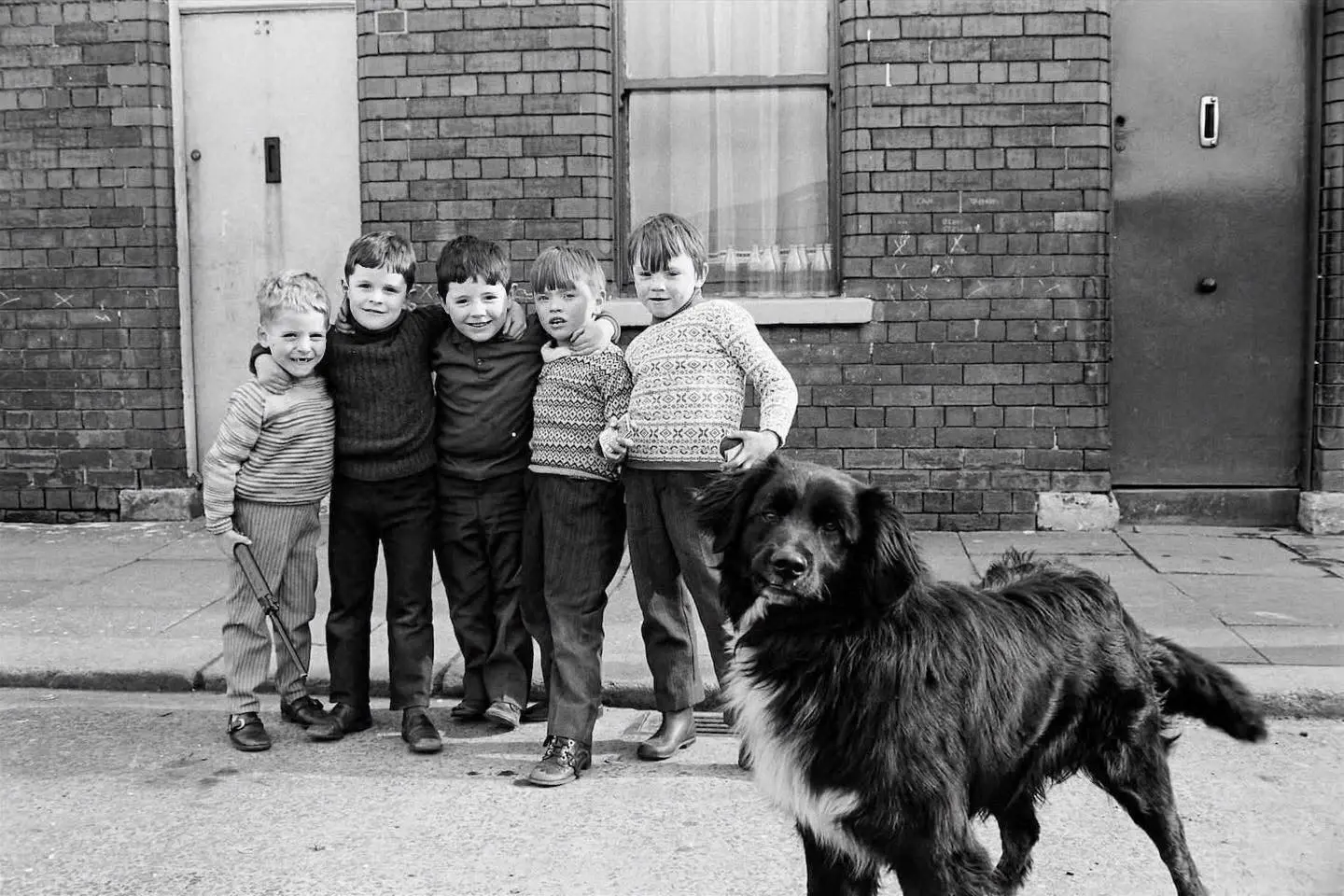 Five kids and a dog 