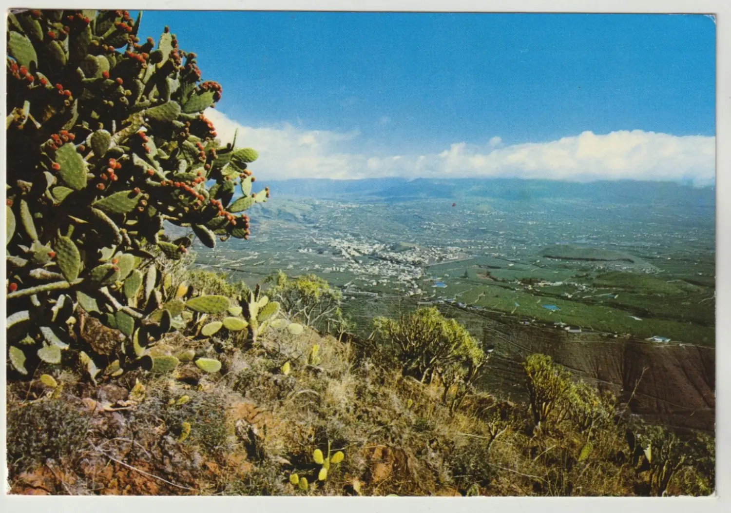 Panorámica del Valle de Aridane